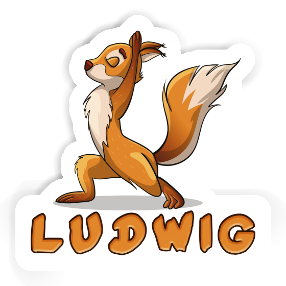 Ludwig Sticker Squirrel Laptop Image