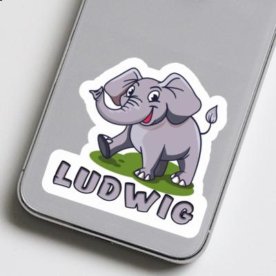 Ludwig Sticker Elephant Gift package Image