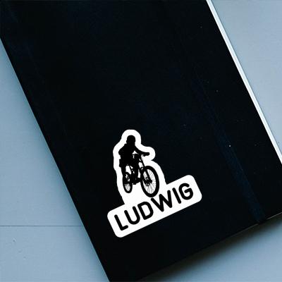 Freeride Biker Sticker Ludwig Gift package Image