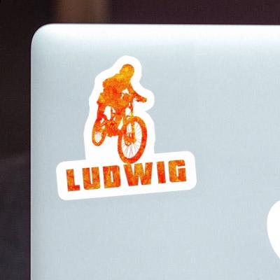 Freeride Biker Sticker Ludwig Gift package Image