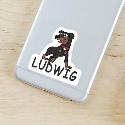 Autocollant Ludwig Pinscher Gift package Image