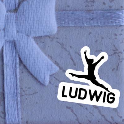 Ludwig Sticker Gymnastin Gift package Image