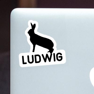 Ludwig Sticker Hase Gift package Image