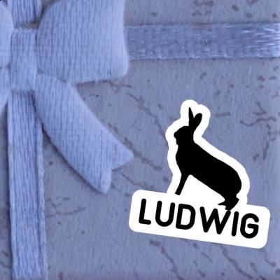 Sticker Ludwig Rabbit Laptop Image