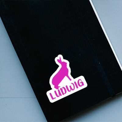 Ludwig Autocollant Lapin Laptop Image