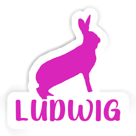 Ludwig Autocollant Lapin Image