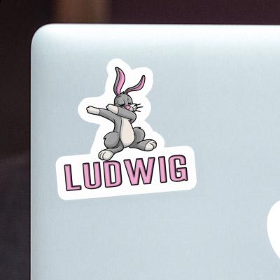 Lapin Autocollant Ludwig Notebook Image