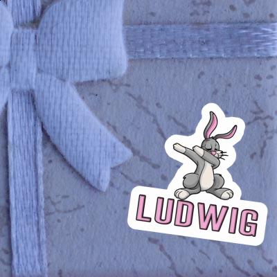 Lapin Autocollant Ludwig Laptop Image