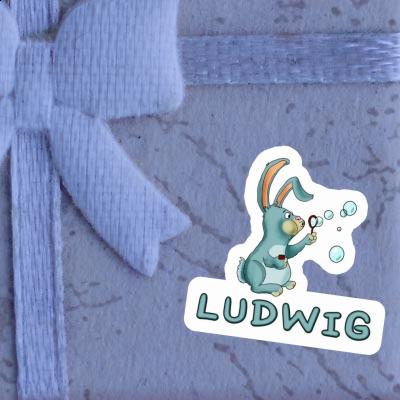 Sticker Soap Bubbles Rabbit Ludwig Laptop Image