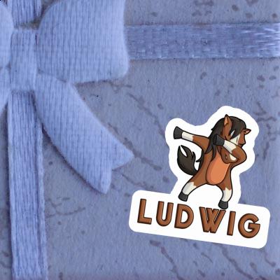 Ludwig Sticker Horse Gift package Image