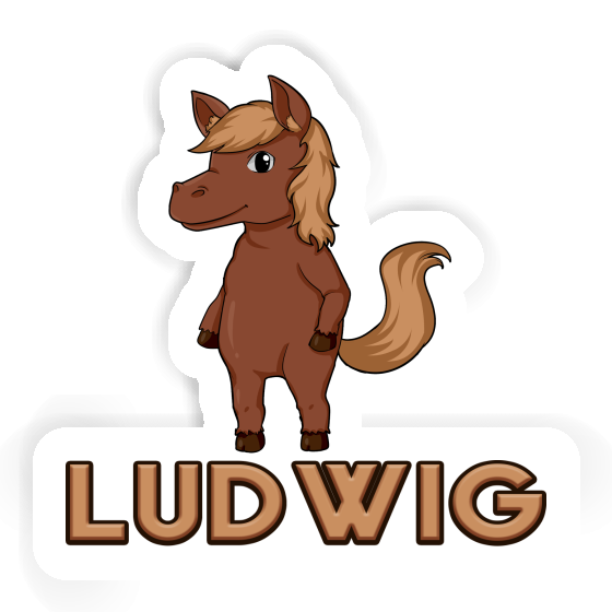 Ludwig Autocollant Cheval Gift package Image