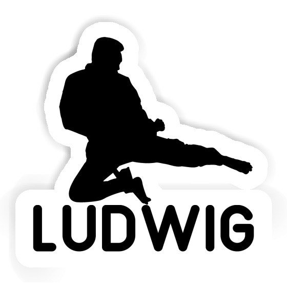 Sticker Ludwig Karateka Image