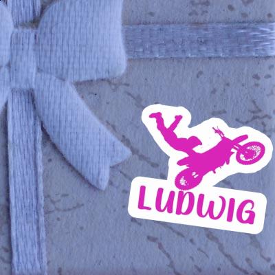 Motocross Rider Sticker Ludwig Image