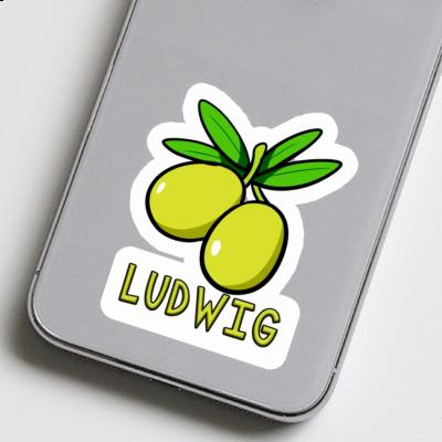 Ludwig Autocollant Olive Laptop Image