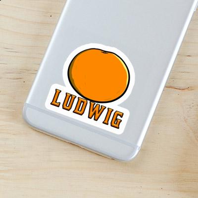 Ludwig Sticker Orange Image