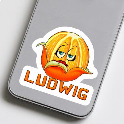 Ludwig Sticker Orange Notebook Image