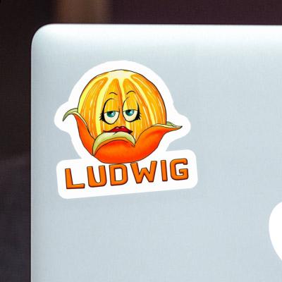 Ludwig Sticker Orange Notebook Image