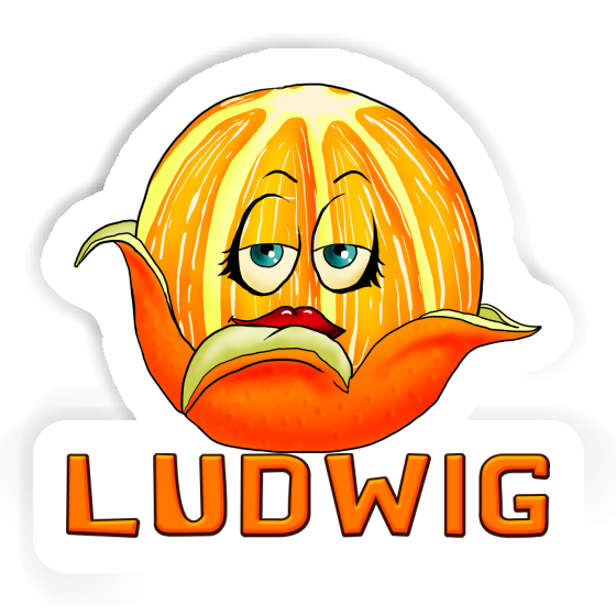 Ludwig Sticker Orange Image