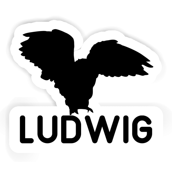 Ludwig Sticker Owl Laptop Image