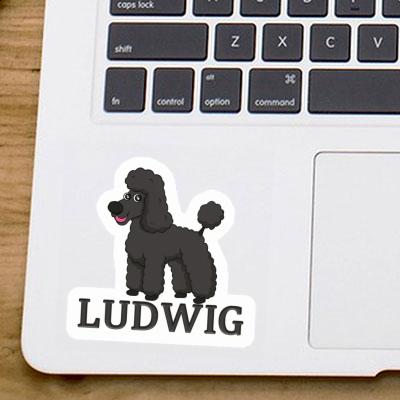 Sticker Ludwig Poodle Notebook Image