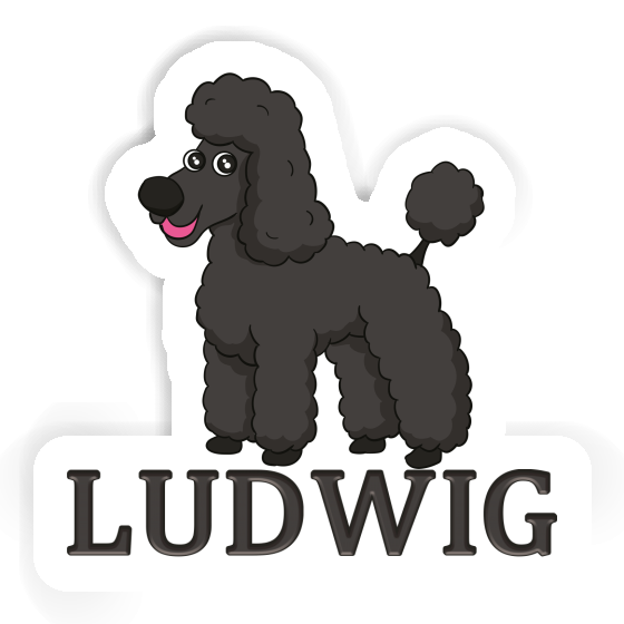 Sticker Ludwig Poodle Gift package Image