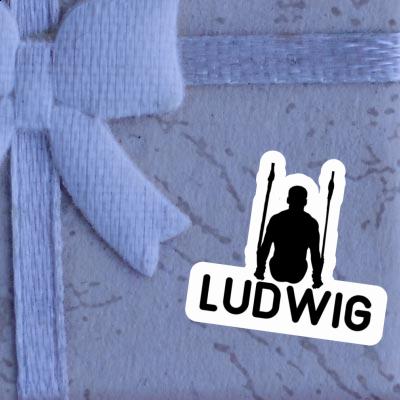 Ludwig Sticker Ring gymnast Gift package Image