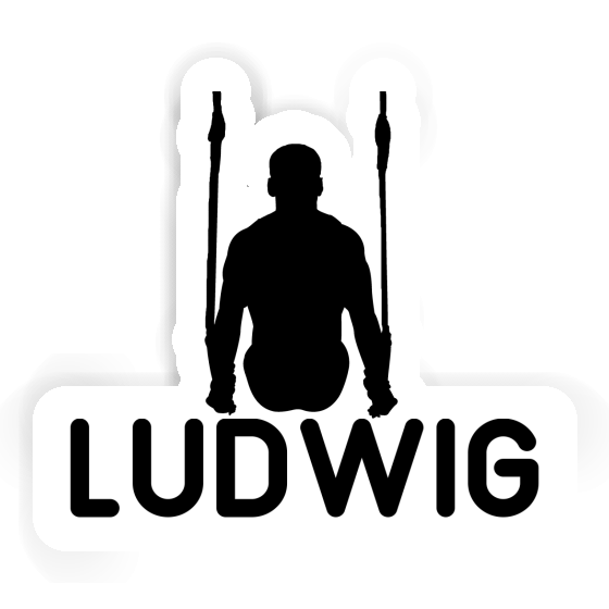 Ludwig Sticker Ring gymnast Notebook Image