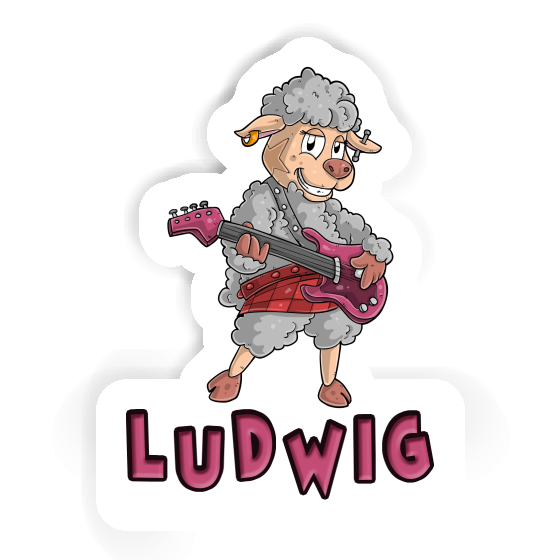 Guitarist Sticker Ludwig Gift package Image