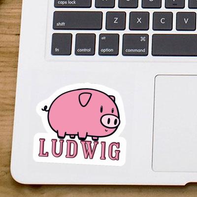 Autocollant Ludwig Cochon Notebook Image