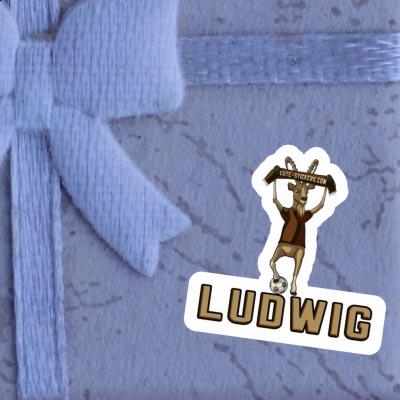 Capricorn Sticker Ludwig Gift package Image