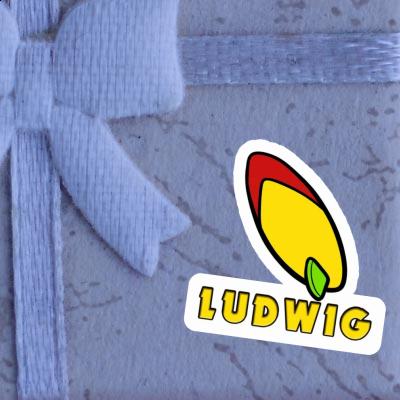 Sticker Ludwig Surfboard Gift package Image