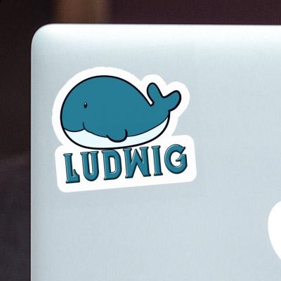 Ludwig Sticker Whale Fish Gift package Image