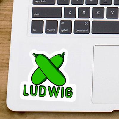 Sticker Zucchini Ludwig Gift package Image