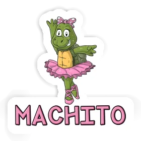 Sticker Machito Turtle Image