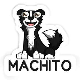 Machito Sticker Border Collie Image