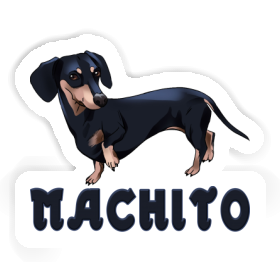 Sticker Dachshund Machito Image