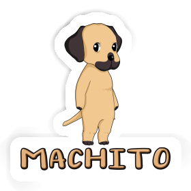 Machito Sticker Rhodesian Ridgeback Image