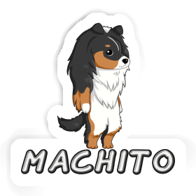 Sticker Machito Sheltie Image