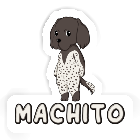 Machito Sticker Small Munsterlander Image