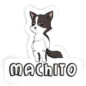 Border Collie Sticker Machito Image