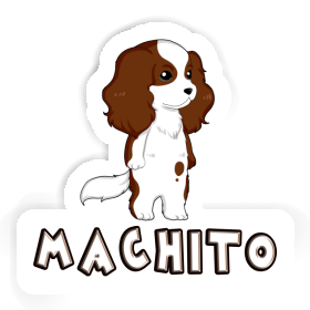 Sticker Cavalier King Charles Spaniel Machito Image