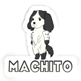 Sticker Machito Spaniel Image