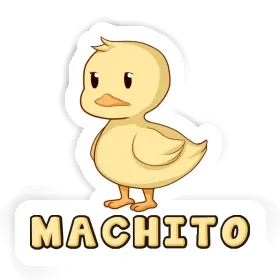 Sticker Machito Duck Image