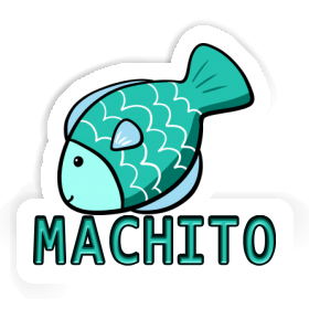 Sticker Machito Fish Image