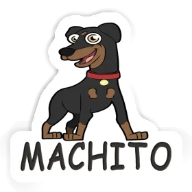 German Pinscher Sticker Machito Image