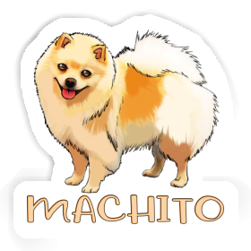 German Spitz Sticker Machito Image