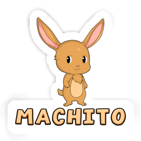 Sticker Machito Easter Bunny Image