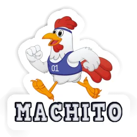 Autocollant Machito Poulet Image