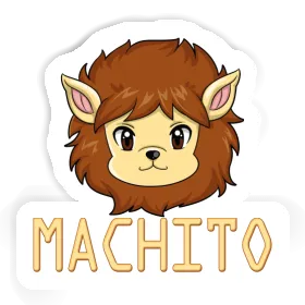 Sticker Machito Lion Image