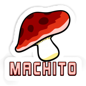 Sticker Machito Fungal Image